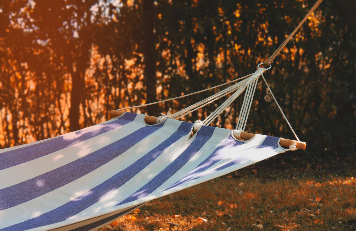 Striped hammock, trees in background, warm lighting.